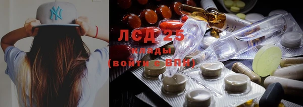 2c-b Алзамай