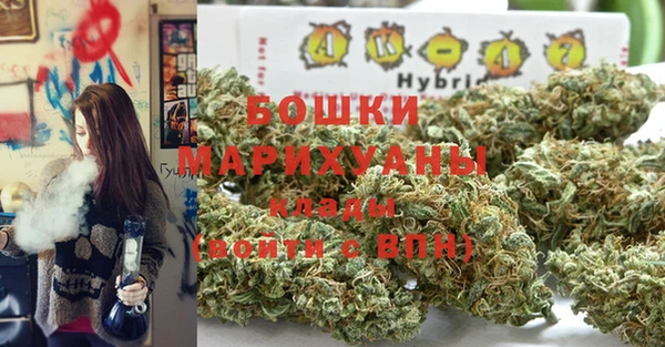 2c-b Алзамай