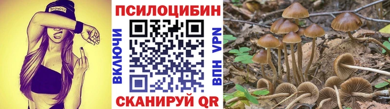 гидра маркетплейс  как найти закладки  Жуковский  Галлюциногенные грибы Magic Shrooms 